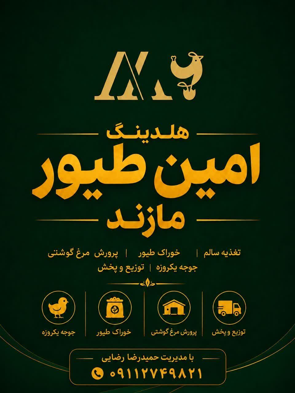 هلدینگ امین طیور مازند