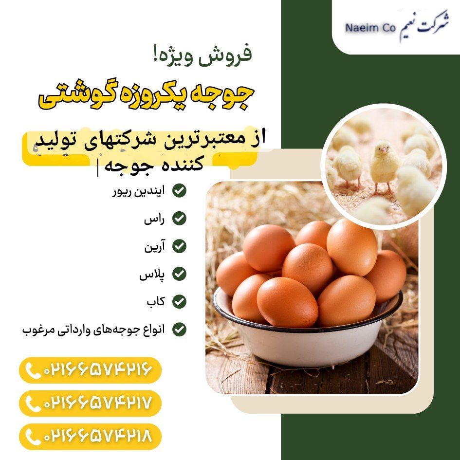 شرکت نعیم