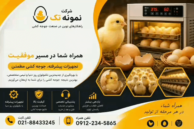شرکت نمونه تک